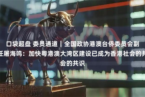 口袋超盘 委员通道｜全国政协港澳台侨委员会副主任屠海鸣：加快粤港澳大湾区建设已成为香港社会的共识