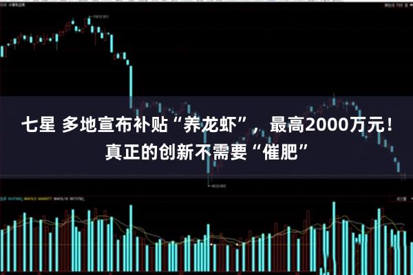 七星 多地宣布补贴“养龙虾”，最高2000万元！真正的创新不需要“催肥”