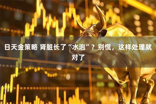 日天金策略 肾脏长了“水泡”？别慌，这样处理就对了