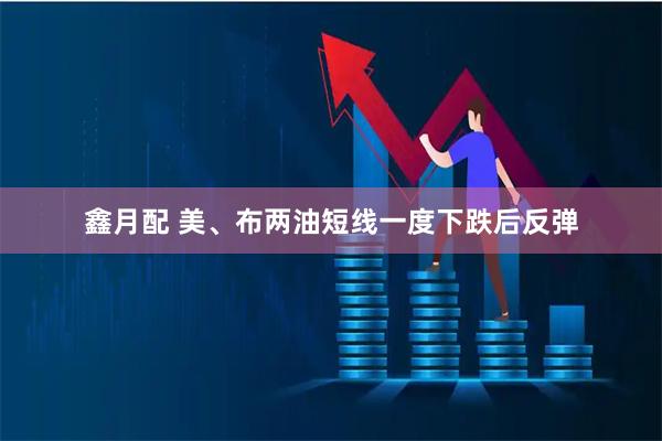 鑫月配 美、布两油短线一度下跌后反弹
