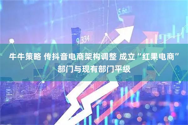 牛牛策略 传抖音电商架构调整 成立“红果电商”部门与现有部门平级