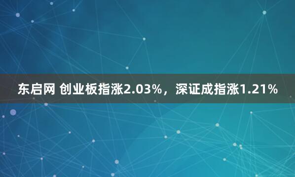 东启网 创业板指涨2.03%，深证成指涨1.21%