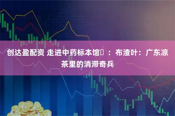 创达盈配资 走进中药标本馆⑭：布渣叶：广东凉茶里的消滞奇兵