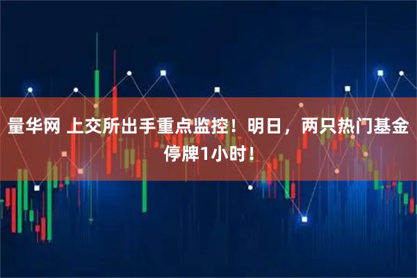 量华网 上交所出手重点监控！明日，两只热门基金停牌1小时！
