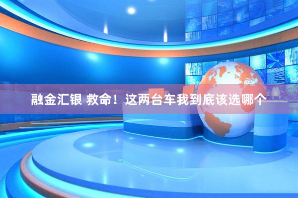 融金汇银 救命！这两台车我到底该选哪个