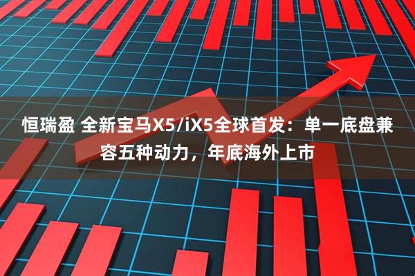 恒瑞盈 全新宝马X5/iX5全球首发：单一底盘兼容五种动力，年底海外上市
