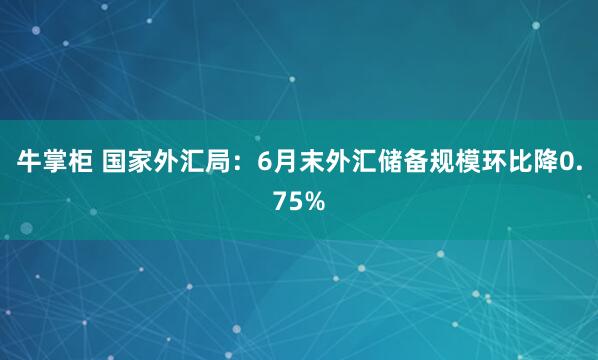 牛掌柜 国家外汇局：6月末外汇储备规模环比降0.75%