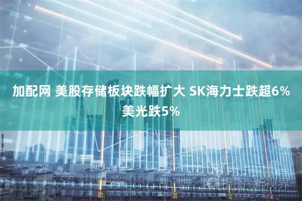 加配网 美股存储板块跌幅扩大 SK海力士跌超6%美光跌5%