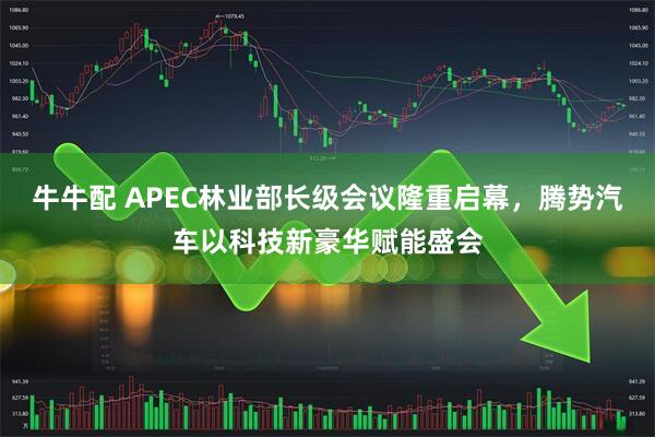 牛牛配 APEC林业部长级会议隆重启幕，腾势汽车以科技新豪华赋能盛会