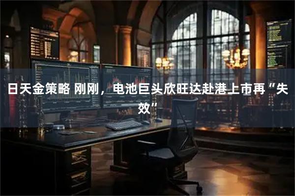 日天金策略 刚刚，电池巨头欣旺达赴港上市再“失效”
