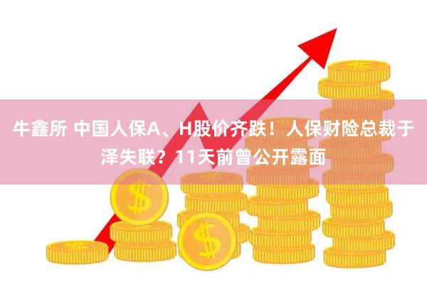 牛鑫所 中国人保A、H股价齐跌！人保财险总裁于泽失联？11天前曾公开露面
