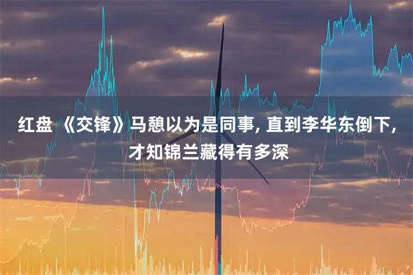 红盘 《交锋》马憩以为是同事, 直到李华东倒下, 才知锦兰藏得有多深