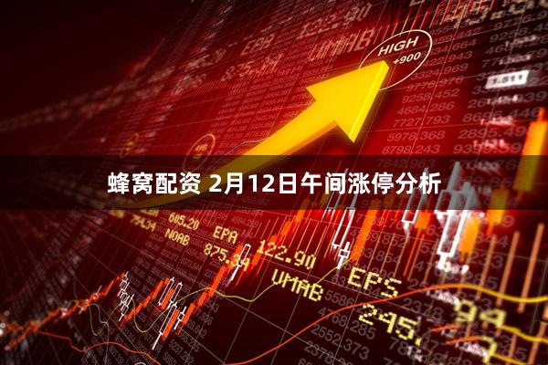 蜂窝配资 2月12日午间涨停分析