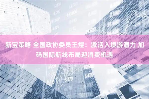 新宝策略 全国政协委员王煜：激活入境游潜力 加码国际航线布局迎消费机遇