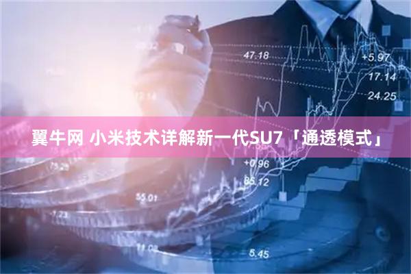 翼牛网 小米技术详解新一代SU7「通透模式」