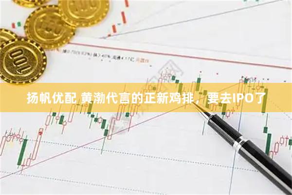 扬帆优配 黄渤代言的正新鸡排，要去IPO了