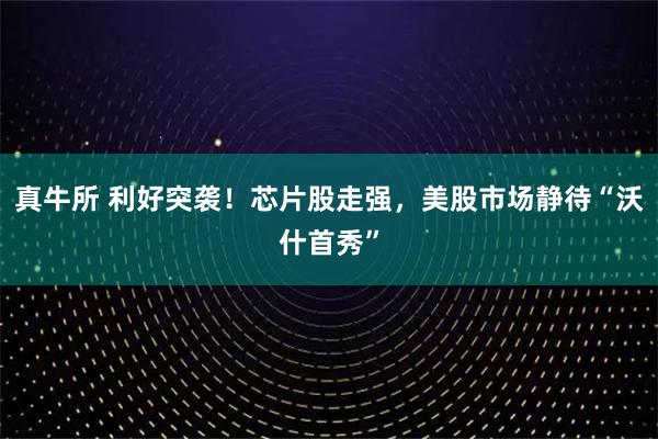 真牛所 利好突袭！芯片股走强，美股市场静待“沃什首秀”