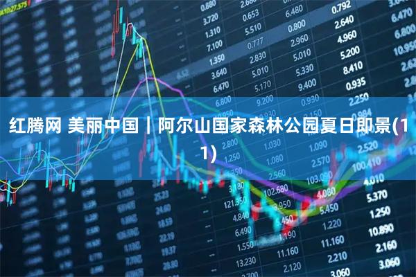 红腾网 美丽中国｜阿尔山国家森林公园夏日即景(11)
